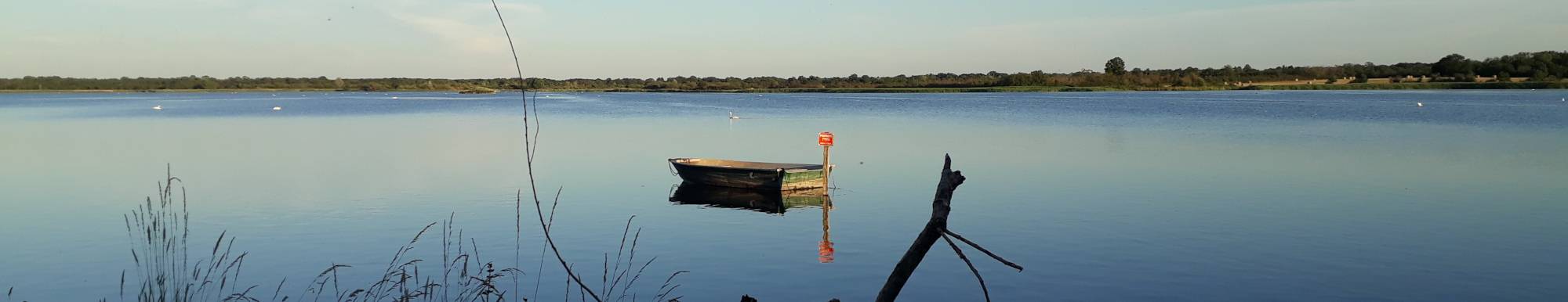 Etang Le Rheu