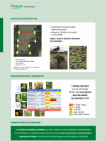 Etang de France n°16