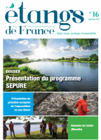 Etang de France n°16