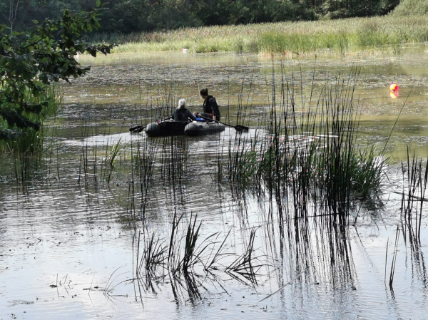 Suivi des macrophytes dans la région Grand Est