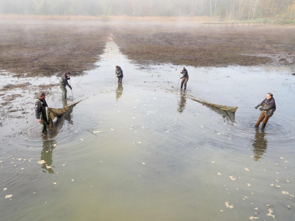 Une pêche d’étang dans le Grand-Est (étang L03)